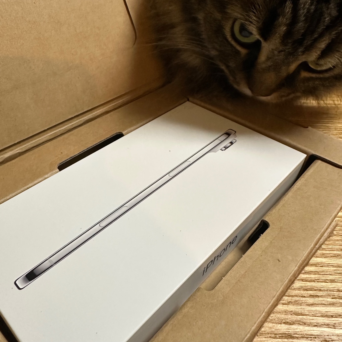iPhone Air