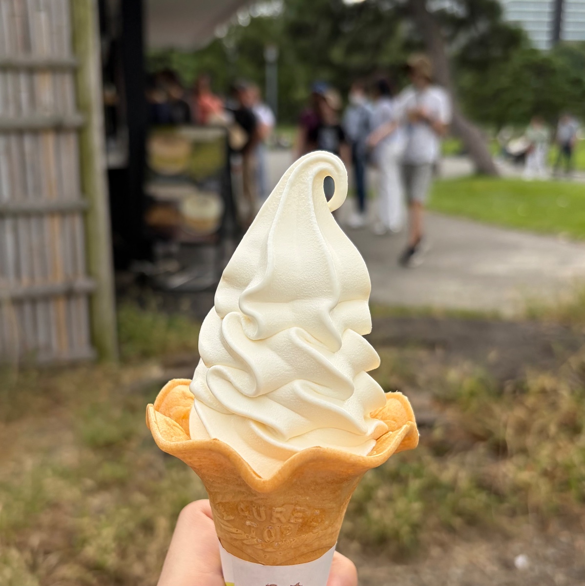ソフトクリーム
